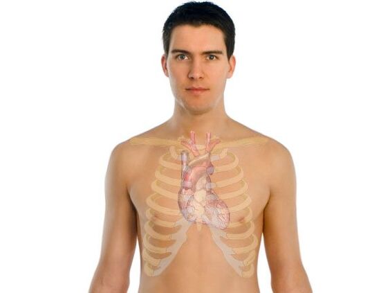 parazitler insan organlarını nasıl etkiler