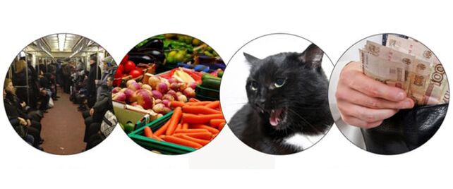 parazitler tarafından enfeksiyon yöntemleri